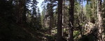 photo thumbnail #8
