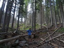 photo thumbnail #10