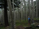 photo thumbnail #2