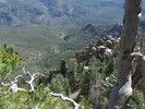 photo thumbnail #4