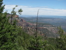 photo thumbnail #11