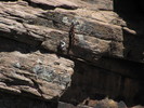 photo thumbnail #13