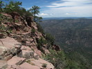 photo thumbnail #14