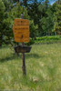 photo thumbnail #14