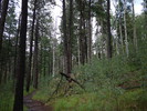 photo thumbnail #4