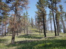photo thumbnail #8