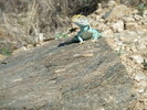 photo thumbnail #4