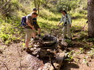 photo thumbnail #1