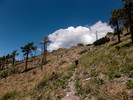 photo thumbnail #5