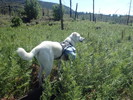 photo thumbnail #3
