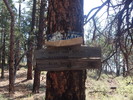 photo thumbnail #4