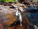 photo thumbnail #8