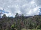 photo thumbnail #10