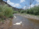 photo thumbnail #11