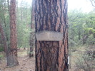 photo thumbnail #13