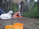 photo thumbnail #15