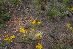 photo thumbnail #6
