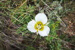 photo thumbnail #8