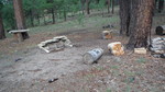 photo thumbnail #5