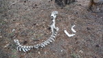 photo thumbnail #6