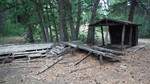 photo thumbnail #9