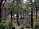 photo thumbnail #11