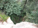 Featured Full Photo