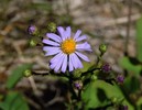 photo thumbnail #13