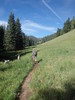 photo thumbnail #1