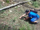 photo thumbnail #8