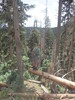 photo thumbnail #12