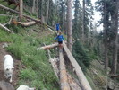 photo thumbnail #14