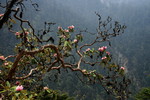 2014-05-20 :3: Day 9-13 Bazara-Goeche La Trek 2014 :: writelots
