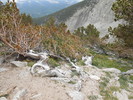 photo thumbnail #13