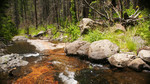 photo thumbnail #8