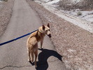 photo thumbnail #4