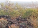 photo thumbnail #3