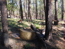 photo thumbnail #8