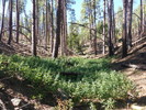 photo thumbnail #9