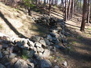 photo thumbnail #11