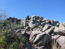 photo thumbnail #14