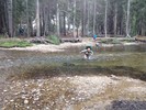 photo thumbnail #11