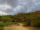 photo thumbnail #2