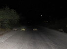 photo thumbnail #7