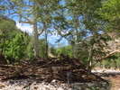 photo thumbnail #10