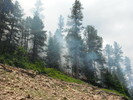 photo thumbnail #10