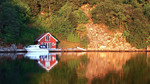 photo thumbnail #7