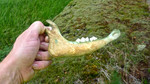 photo thumbnail #8