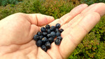 photo thumbnail #6