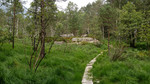 photo thumbnail #7